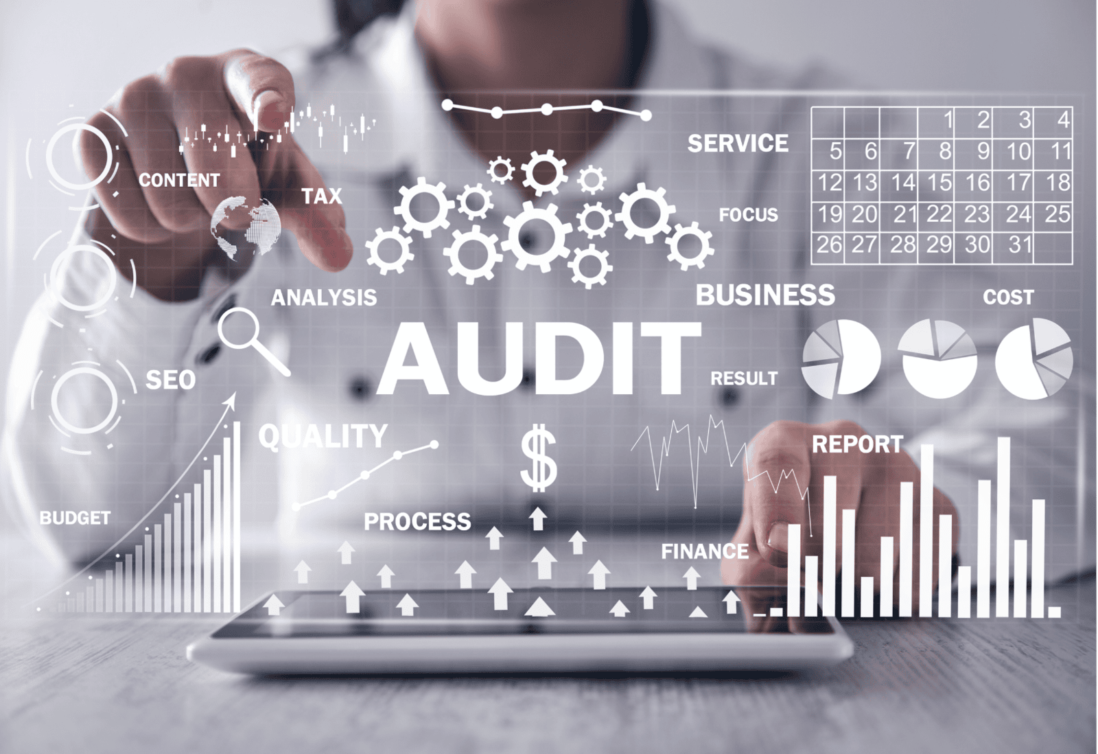 Bias & Fairness Auditing